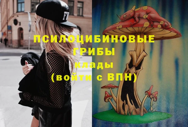 дмт Арсеньев