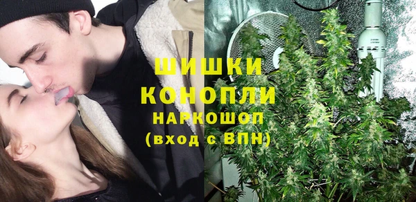 дмт Арсеньев